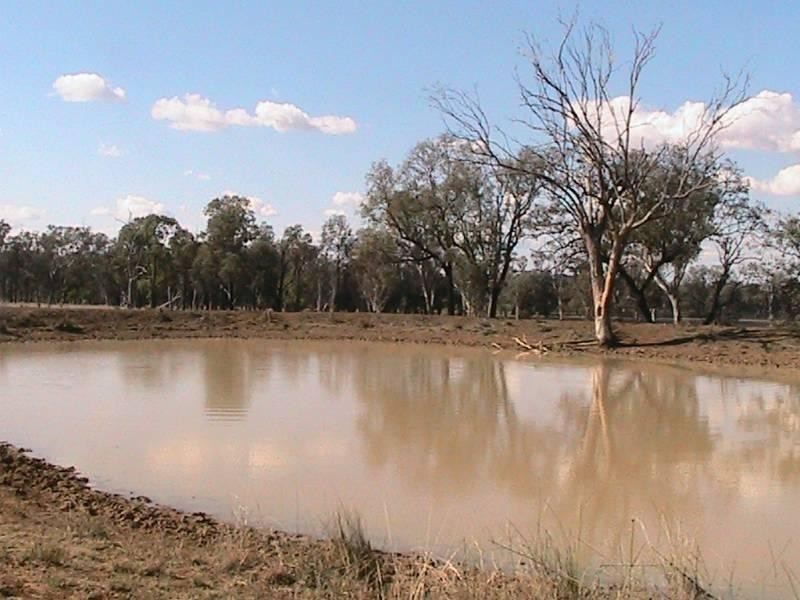 Red Rock 707 North Star Road, Warialda NSW 2402