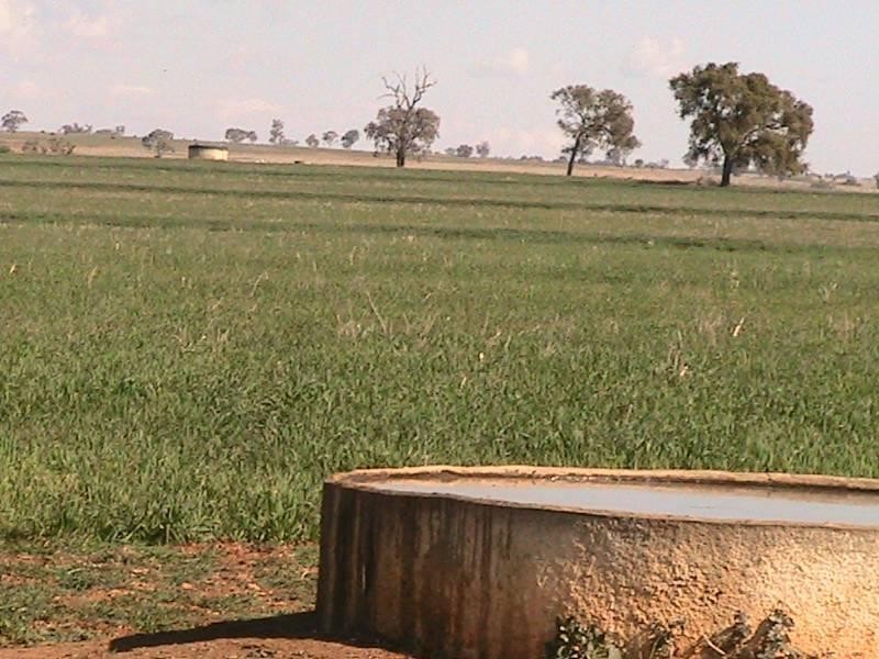 Red Rock 707 North Star Road, Warialda NSW 2402