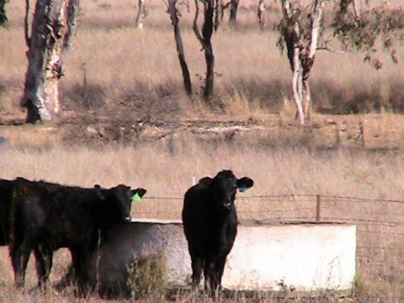 Red Rock 707 North Star Road, Warialda NSW 2402