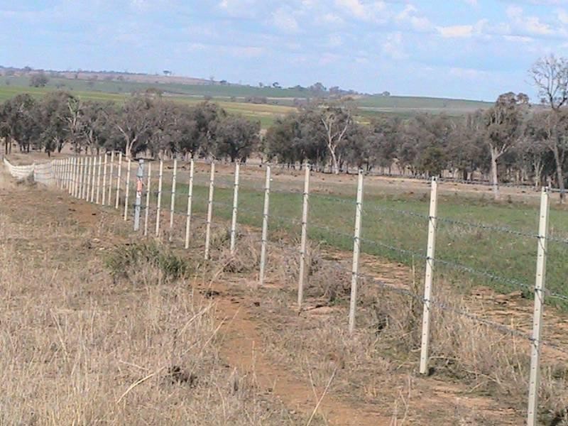 Red Rock 707 North Star Road, Warialda NSW 2402