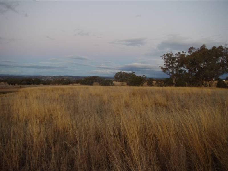 Lot 11 Corella Court, Inverell NSW 2360