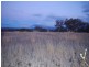 Lot 11 Corella Court, Inverell NSW 2360