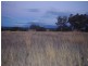Lot 11 Corella Court, Inverell NSW 2360