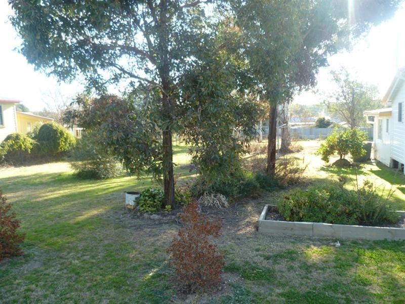 7 Bukkulla Street, Ashford NSW 2361