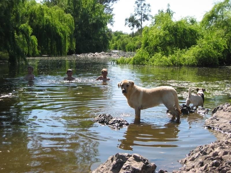 460 Wynella Road, Inverell NSW 2360