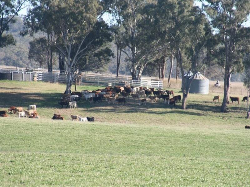 460 Wynella Road, Inverell NSW 2360