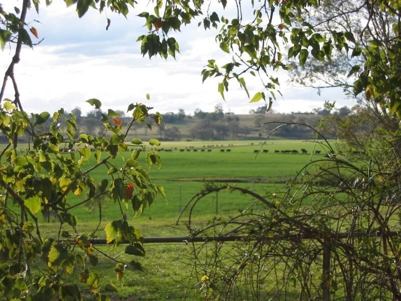 460 Wynella Road, Inverell NSW 2360