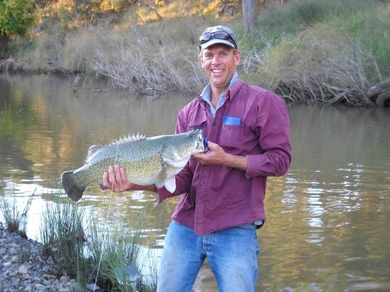 460 Wynella Road, Inverell NSW 2360