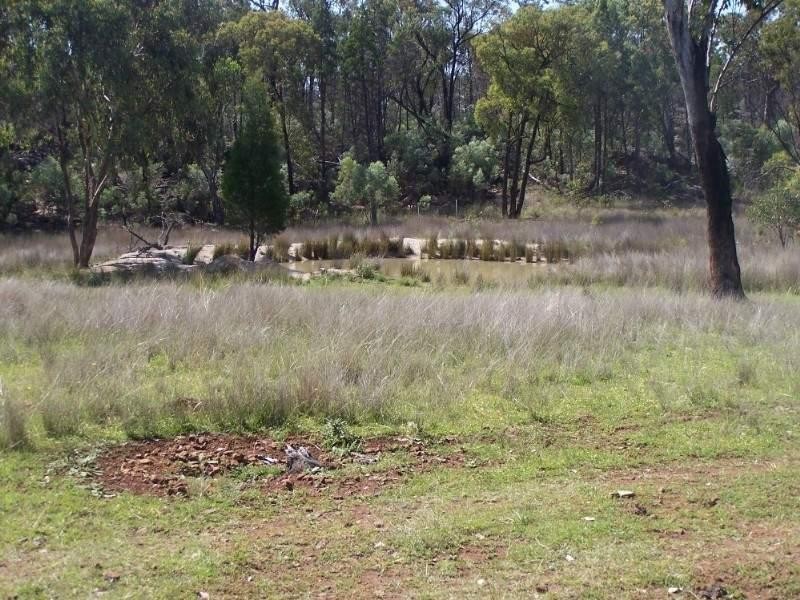 Riders Aberdeen Road, Bundarra NSW 2359