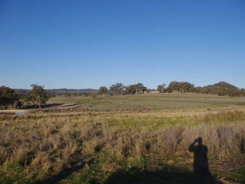 1027 Woodstock Road, Inverell NSW 2360