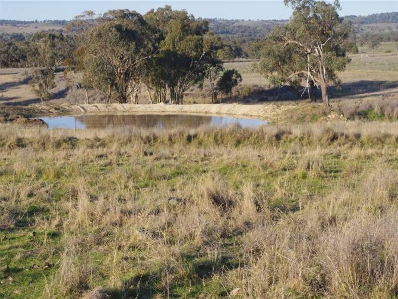 1027 Woodstock Road, Inverell NSW 2360