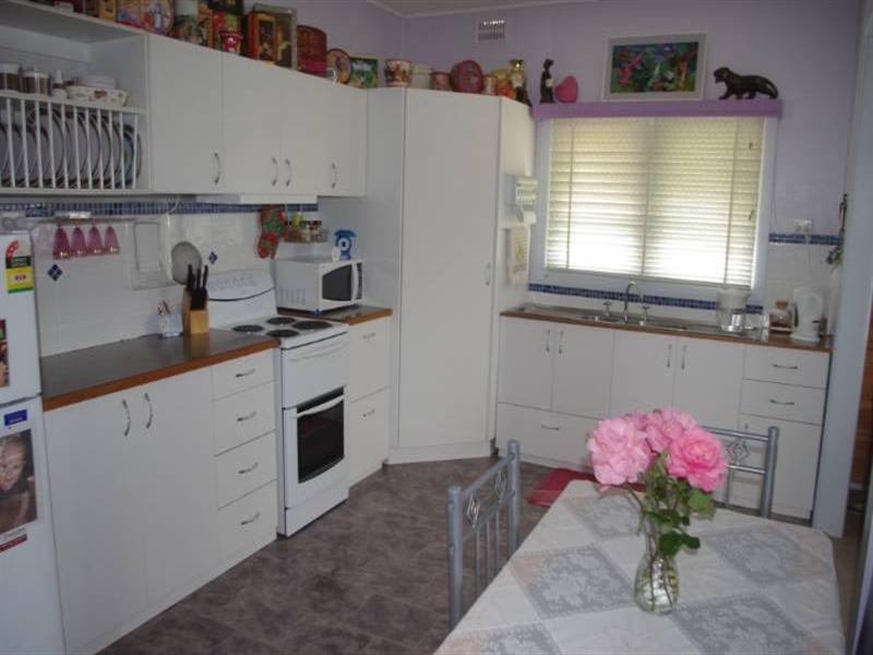 17 Frazer Street, Ashford NSW 2361