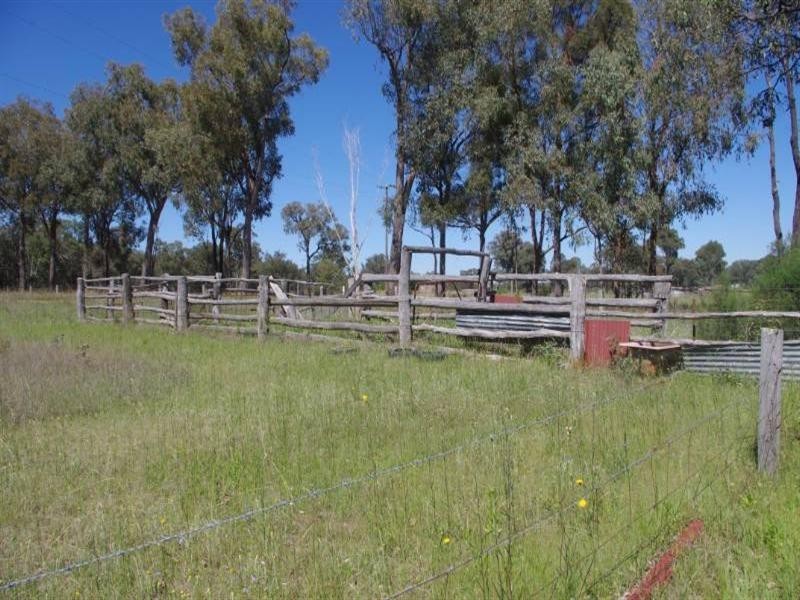 146 Aberdeen Road, Bundarra NSW 2359