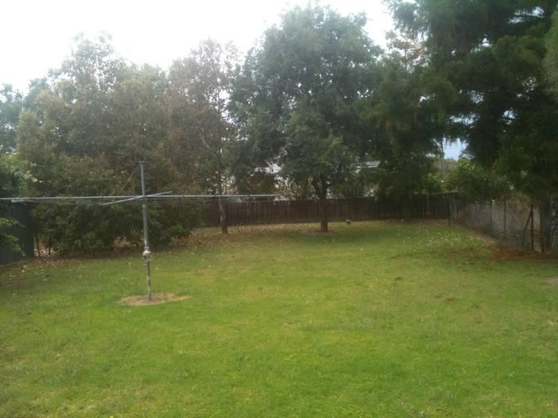 14 Frome Street, Ashford NSW 2361