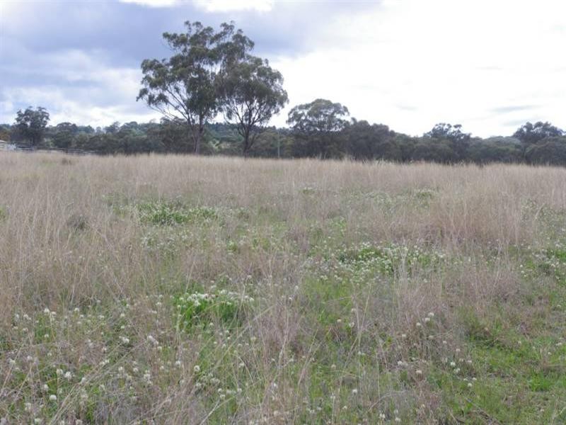 528 Fernhill Road, Inverell NSW 2360