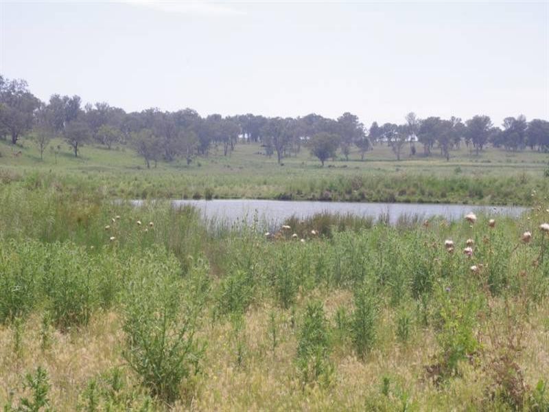 Inverell NSW 2360