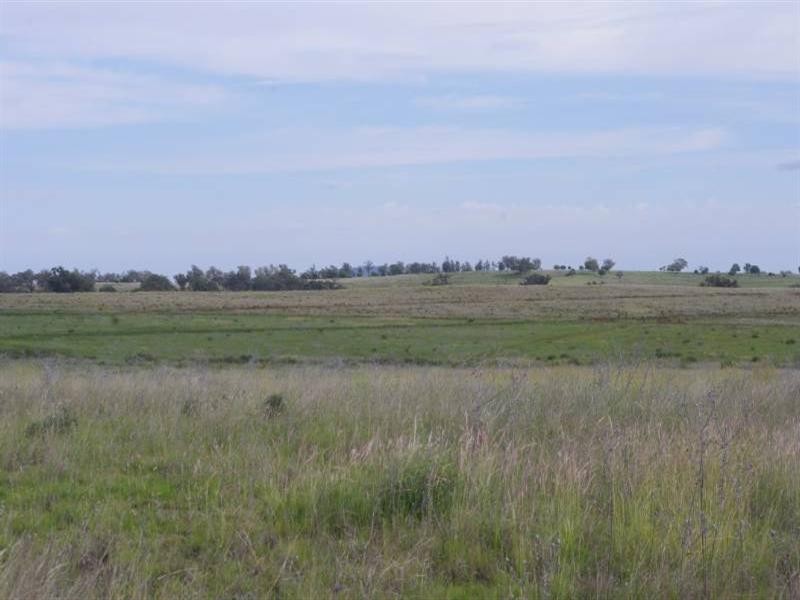 636 Elcombe Road, Bingara NSW 2404