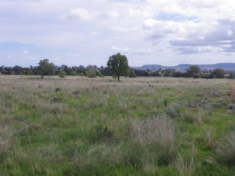 636 Elcombe Road, Bingara NSW 2404