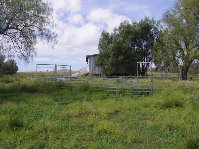 636 Elcombe Road, Bingara NSW 2404