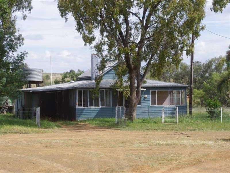 636 Elcombe Road, Bingara NSW 2404