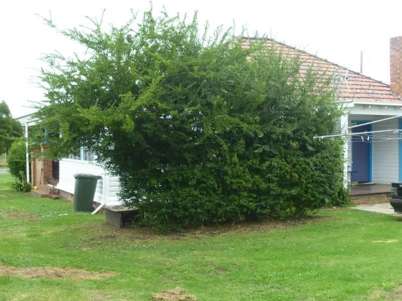 45-47 Greaves Street, Inverell NSW 2360