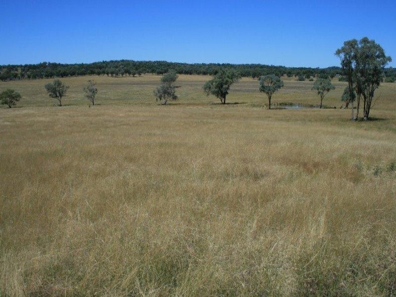 426 Onus Road, Inverell NSW 2360