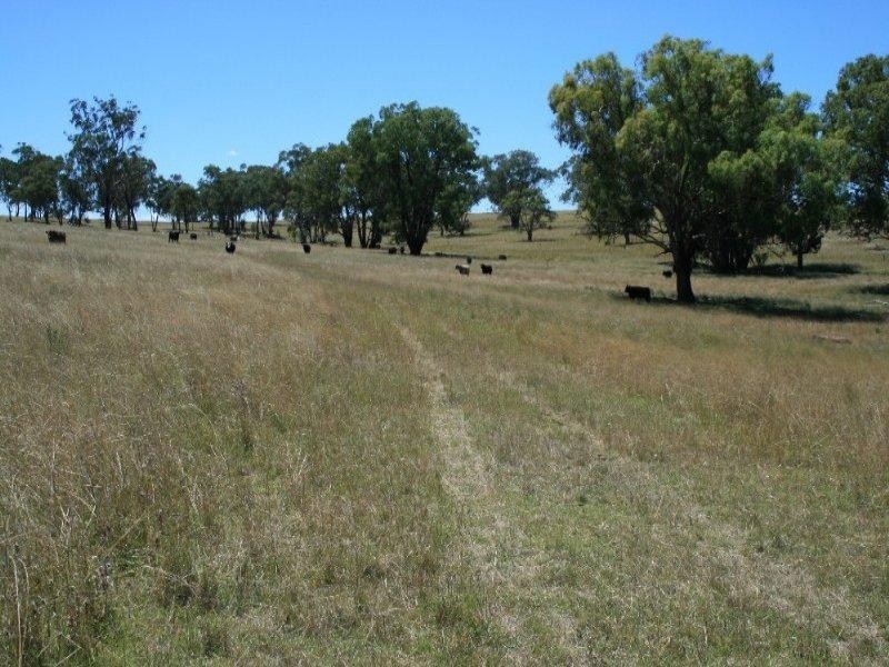 426 Onus Road, Inverell NSW 2360