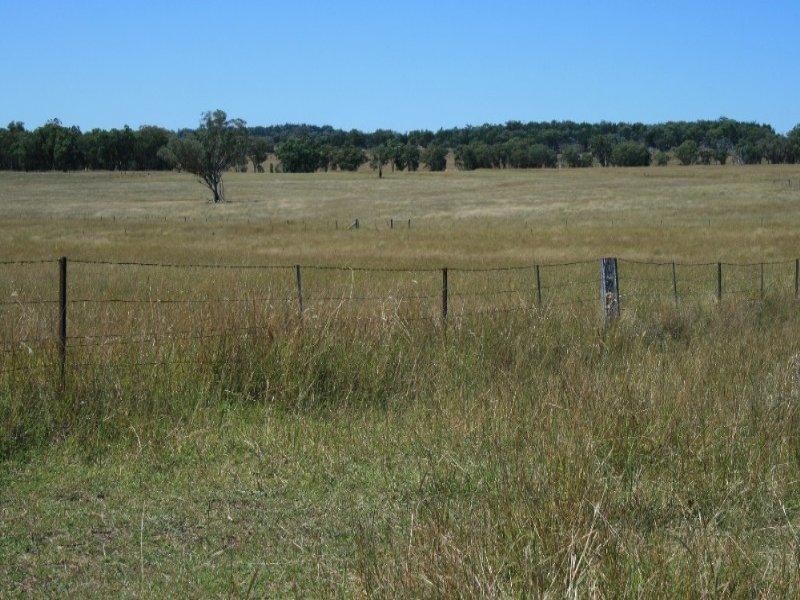 426 Onus Road, Inverell NSW 2360