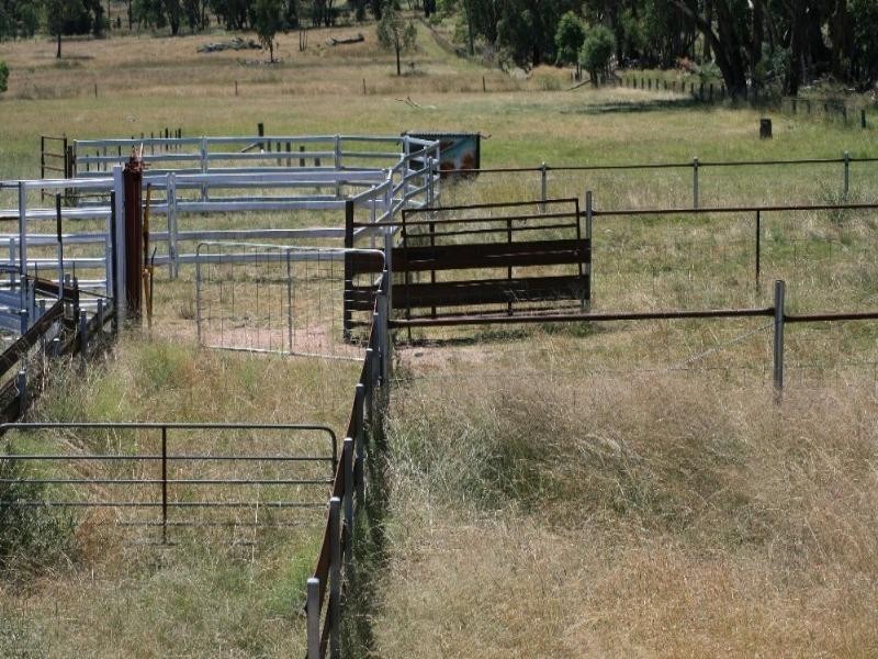 426 Onus Road, Inverell NSW 2360