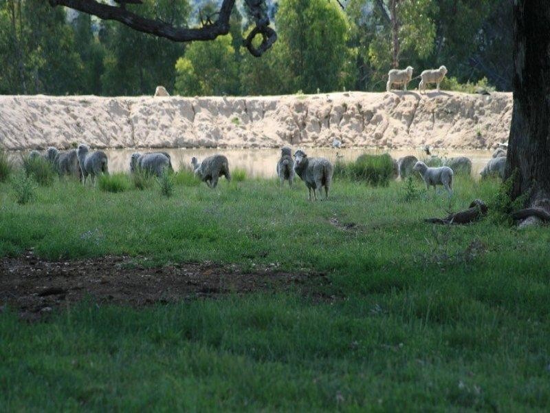 Gum Flat NSW 2360
