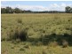 Gum Flat NSW 2360