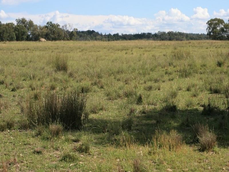 Gum Flat NSW 2360