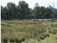 Gum Flat NSW 2360