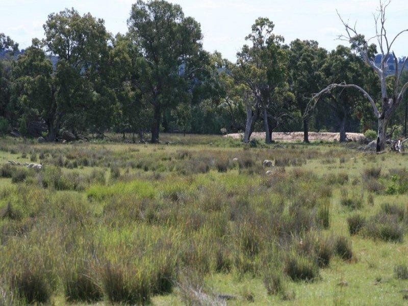 Gum Flat NSW 2360