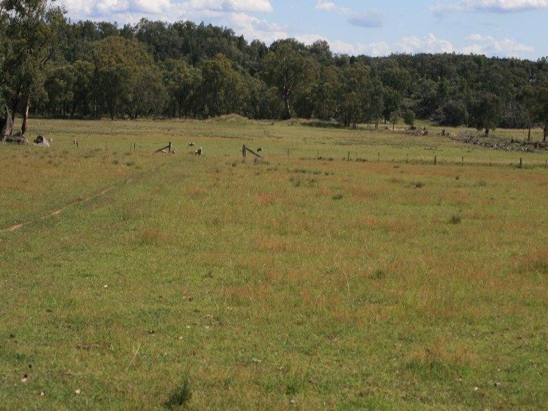 Gum Flat NSW 2360