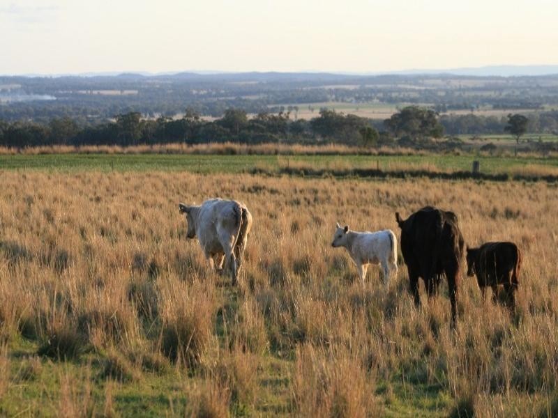 Inverell NSW 2360