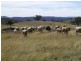 Emmaville NSW 2371