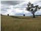 Emmaville NSW 2371