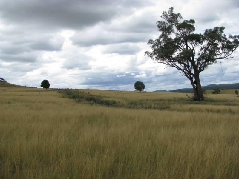 Emmaville NSW 2371