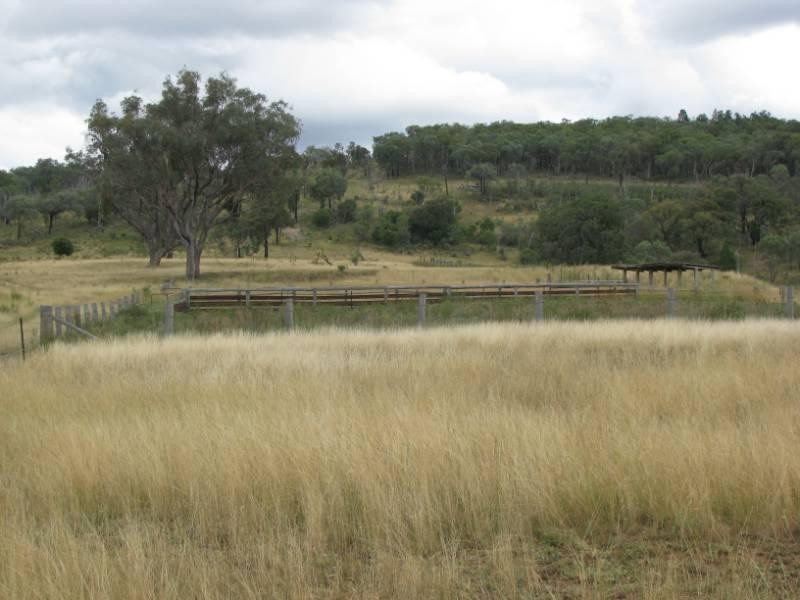 Emmaville NSW 2371