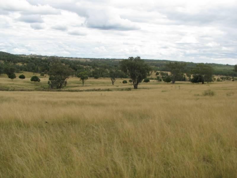 Emmaville NSW 2371