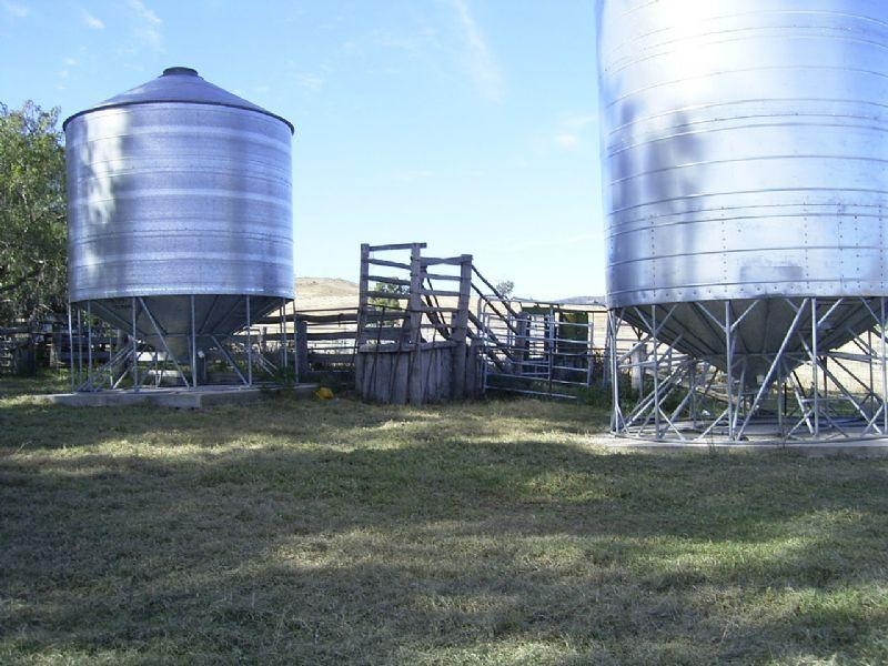 Emmaville NSW 2371