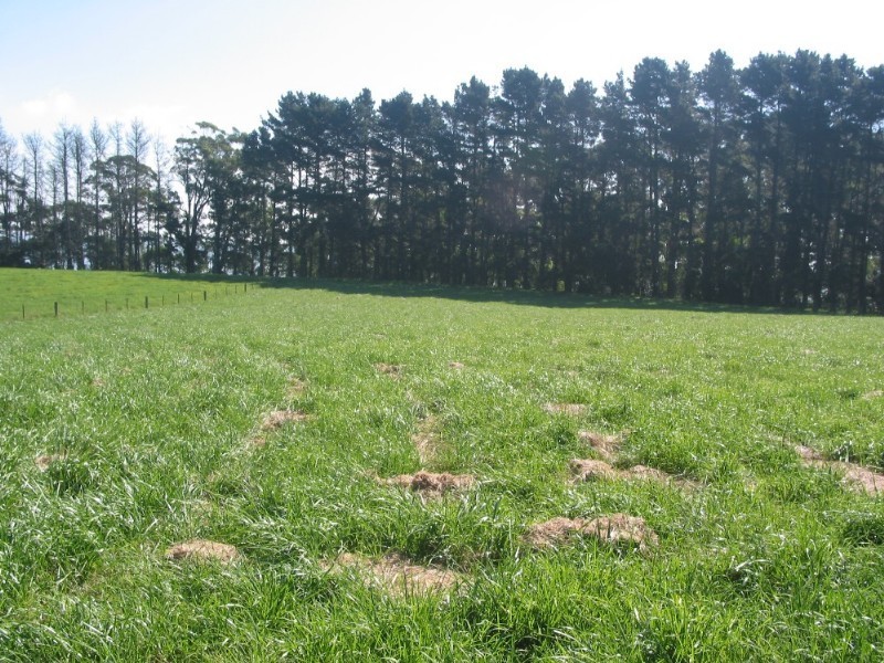 Wildes Meadow NSW 2577