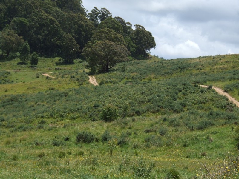 Moss Vale NSW 2577