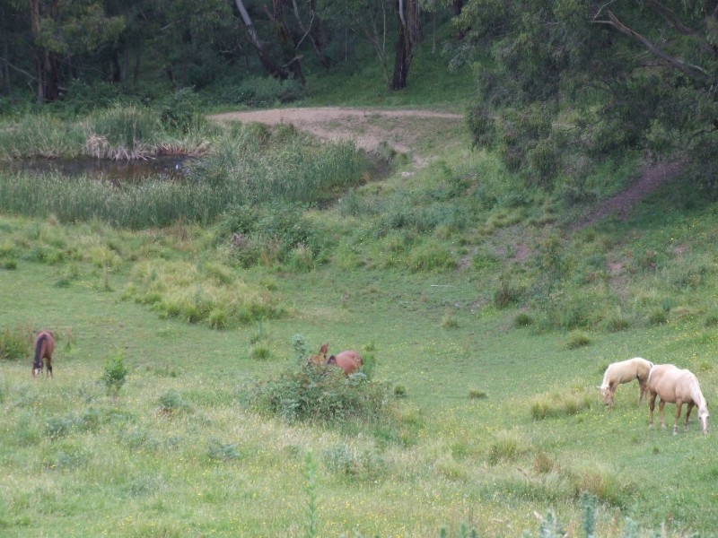 Moss Vale NSW 2577