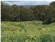 Moss Vale NSW 2577