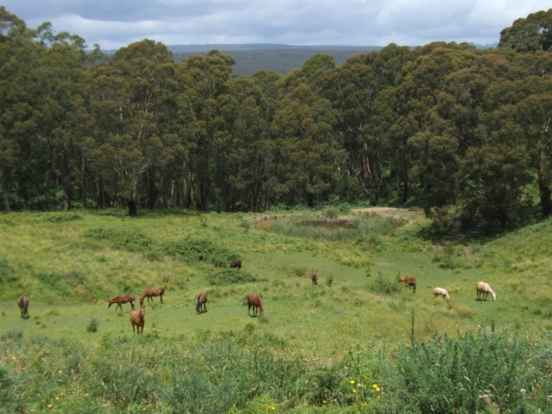 Moss Vale NSW 2577
