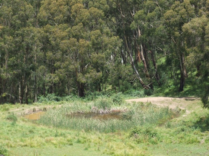 Moss Vale NSW 2577