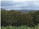 Moss Vale NSW 2577
