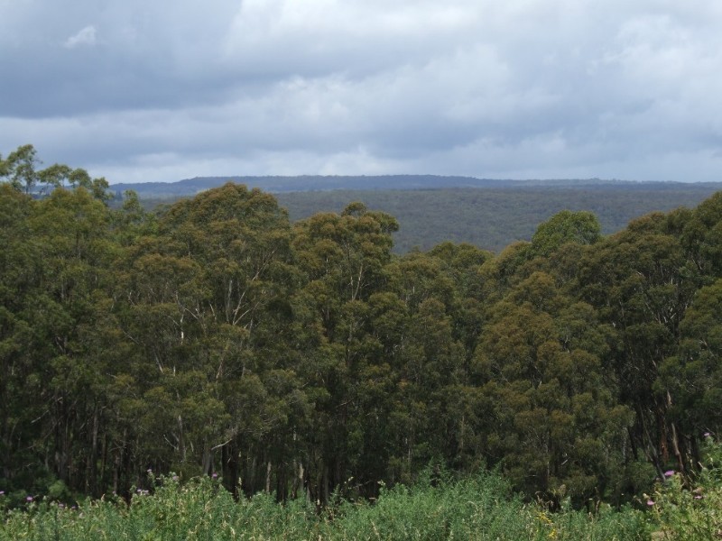 Moss Vale NSW 2577
